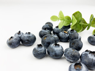 blueberry7