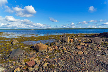 The littoral zone at low tide.