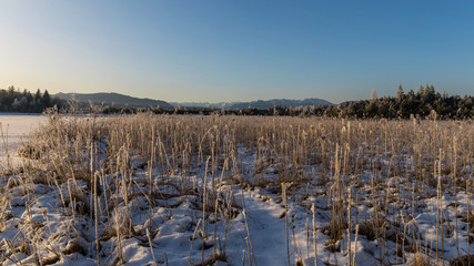 Winterlandschaft im Hintergrund die Berge