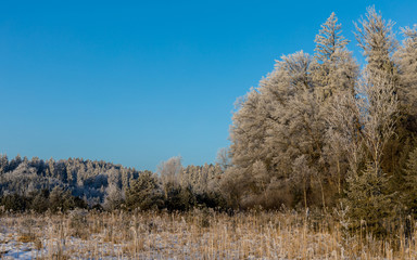 Winterlandschaft
