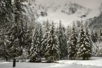 beautiful winter landscape at Antholz Lake, Italian Alps, South Tyrol, Italy.