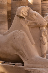 Alley of the ram-headed Sphinxes. Karnak Temple, complex of Amun-Re. Luxor, Egypt.