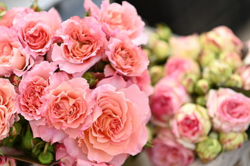 Rosenblüten