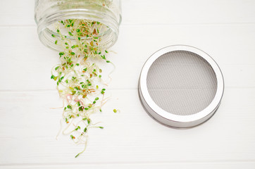 Glass jar with a metal lid and mesh, for microgreen, young sprouts of radish, lucerne, fenugreek...