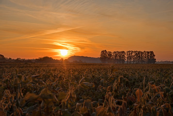 Sonnenaufgang bei Borschiv in der Ukraine