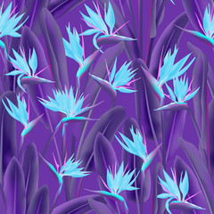 Strelitzia reginae tropical flower vector seamless pattern. Bohemian tropical plant fabric print design. South African plant tropical blossom of crane flower, strelitzia. Floral textile print.