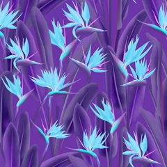 Fotobehang Pruim Strelitzia reginae tropische bloemen vector naadloze patroon. Boheemse tropische plant stof print ontwerp. Zuid-Afrikaanse plant tropische bloesem van kraanbloem, strelitzia. Textielprint met bloemen.