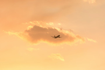 A fire fighting water bombing plane in bush fire smoke at sunset in The Blue Mountains in Australia