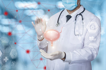 Concept diagnosis and treatment of the bladder .