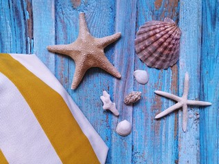 Sea theme, vacation at sea:  various shells and starfish on a wooden surface of a soft blue color.