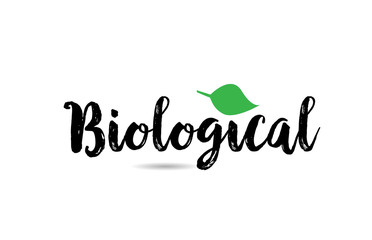 Biological text word with green leaf hand written for logo typography design template