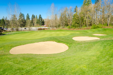 Golf course with yellow sand bunker and fantastic forest view.