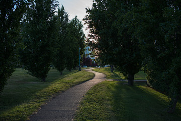 path in the park