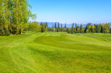 Obraz premium Golf course with gorgeous green and fantastic forest view.