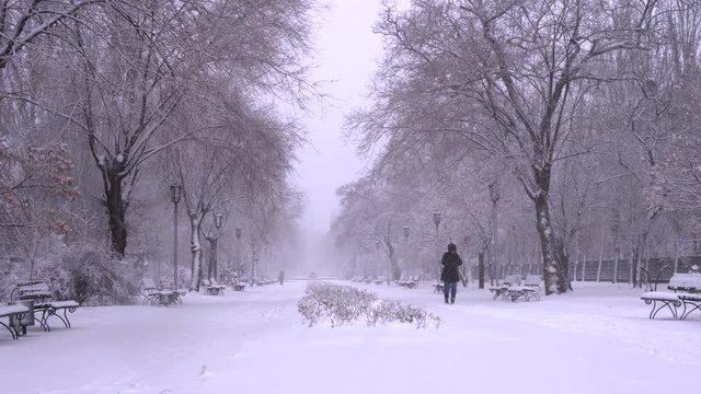 woman in warm winter clothes walks along the park alley on cold windy winter day. Snowfall and blizzard on street. Girl freezes and hurries home