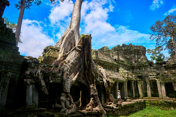 Preah Khan Angkor wat temple ruins siem reap cambodia asia