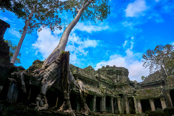 Fototapeta premium Preah Khan Angkor wat temple ruins siem reap cambodia asia