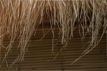  The wind is blowing from thatched roofs. Bamboo hut