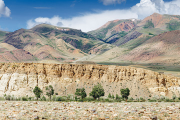 Altai desert valley landscape, low angle view. Dry arid eroded land, green trees and multicolored mountains. Natural scenery near Chagan-Uzun, Altai Republic, Siberia, Russia