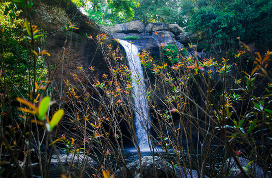 waterfall in deep junkle  ,plant atmosphere around waterfall