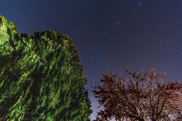 Starry night in Albuquerque, New mexico