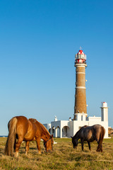 lighthouse on hill - cabo polonio - uruguay