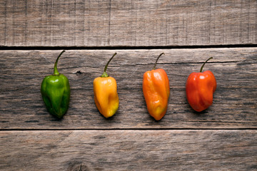 Chiles Habanero de colores sobre una mesa de madera © Axel