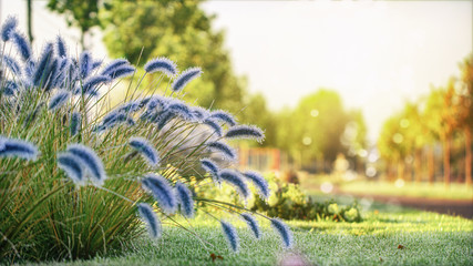 Beautiful winter or autumn landscape. The plants are covered with ice in the garden. Selective focus.