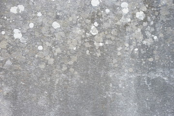 paint drops on stone