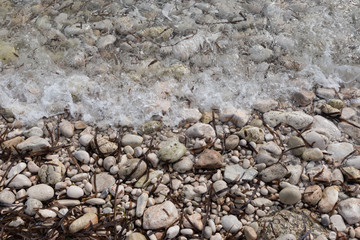 shore with stones