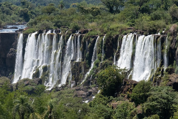Fototapeta na wymiar The awe inspiring Iguazu Falls (Iguaçu , waterfalls of the Iguazu River on the border between Argentina and Brazil. The largest waterfall in the world
