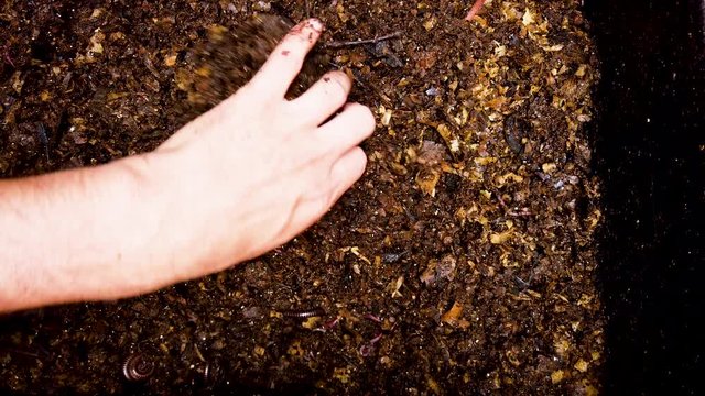 Mixing decomposing organic waste, humus, compost, fertilizer.