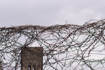barbed wire on gray sky background