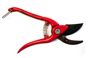 Secateur on a white background. Garden scissors.