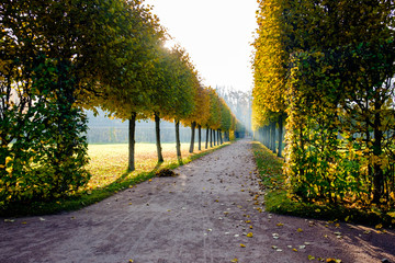 Pushkin. Tsarskoe selo. Saint-Petersburg. Autumn Catherine park