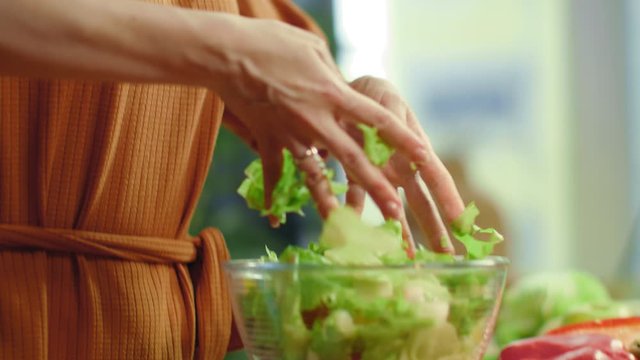 Woman hands tossing vegetable salad. Female cooking fresh healthy meal.