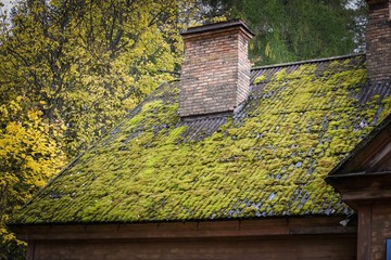 The roof surface of the house is overgrown with moss
