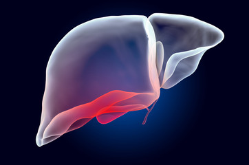 Pain in Liver or Gallbladder concept. Ghost light effect, x-ray hologram. 3D rendering