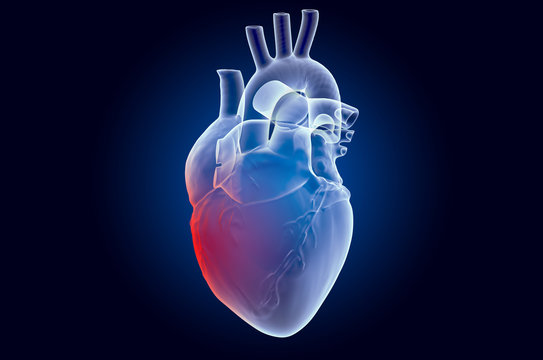 Pain in Heart concept. Ghost light effect, x-ray hologram. 3D rendering