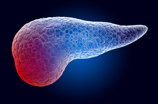 Pain in Pancreatic concept. Ghost light effect, x-ray hologram. 3D rendering
