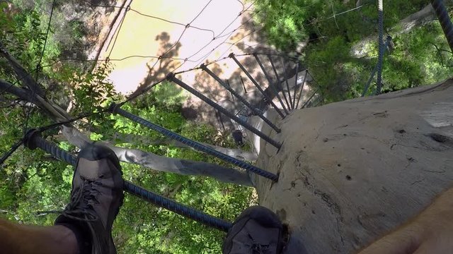 POV looks down past feet from high up on steel spike ladder in side of huge tree