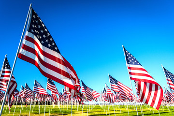 A large group of American flags. Veterans or Memorial day display - 321578465