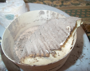 close-up of moldy but healthy French cheese