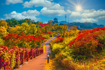 Namsan park at Autumn in Seoul,South Korea.