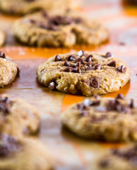 Freshly baked chocolate chip cookies