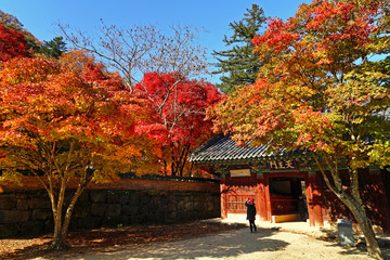 Korean Autumn with red leaves at a temple Gongju Korea