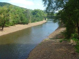 Fototapeta premium river in the forest