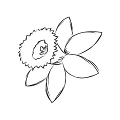 Isolated sketch of a flower