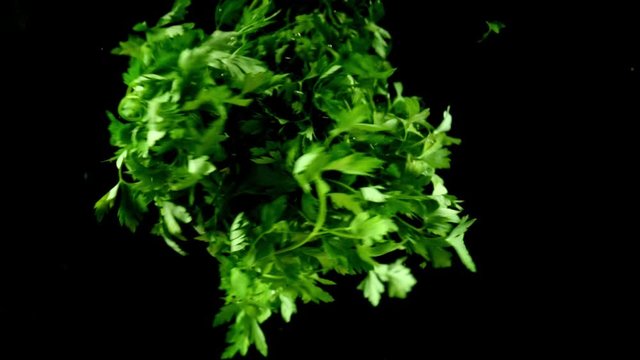 parsley bunch moving in the water in the dark