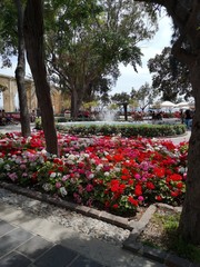 Malta and Gozo images all around the both islands